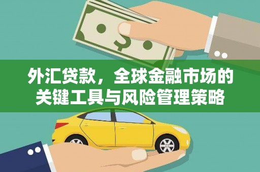 平昌外汇贷款，全球金融市场的关键工具与风险管理策略