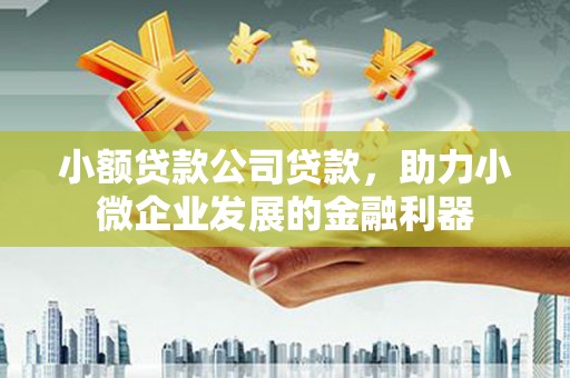 平昌小额贷款公司贷款，助力小微企业发展的金融利器