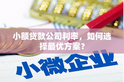 平昌小额贷款公司利率，如何选择最优方案？