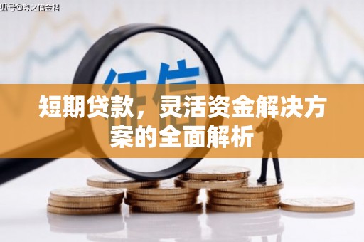 平昌短期贷款，灵活资金解决方案的全面解析