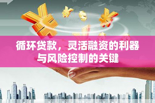 平昌循环贷款，灵活融资的利器与风险控制的关键