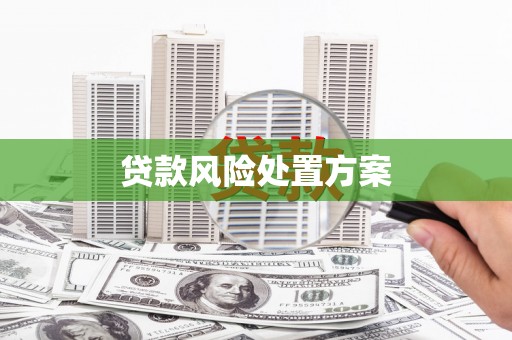 平昌贷款风险处置方案