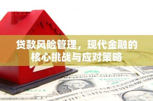 平昌贷款风险管理，现代金融的核心挑战与应对策略