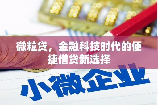 平昌微粒贷，金融科技时代的便捷借贷新选择
