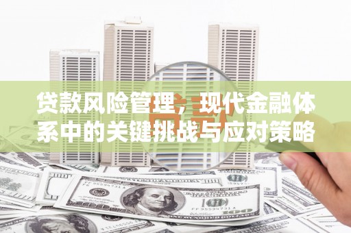 平昌贷款风险管理，现代金融体系中的关键挑战与应对策略