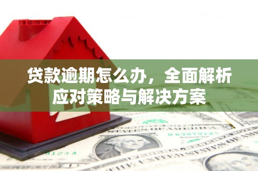 平昌贷款逾期怎么办，全面解析应对策略与解决方案